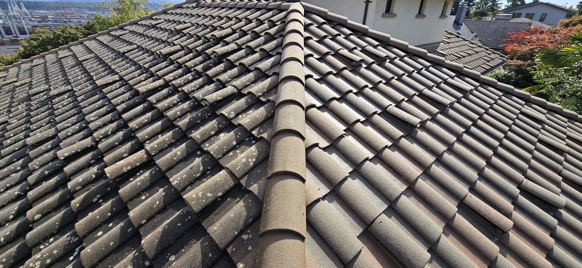 Roof Tiles Before & After Soft Washing