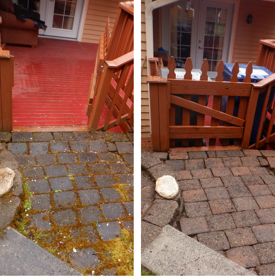 Pavers before and after soft washing