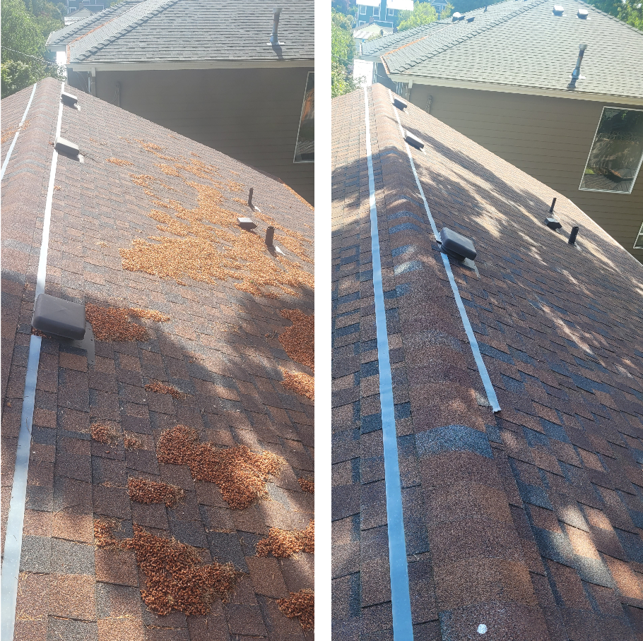 Composite Roof Before & After Soft Washing