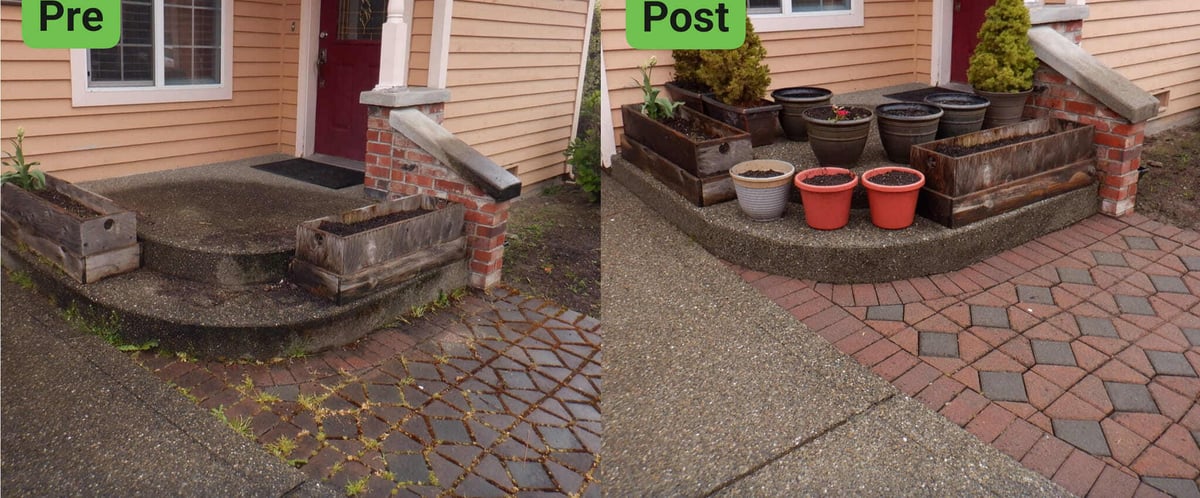 Soft washed Steps & Planters