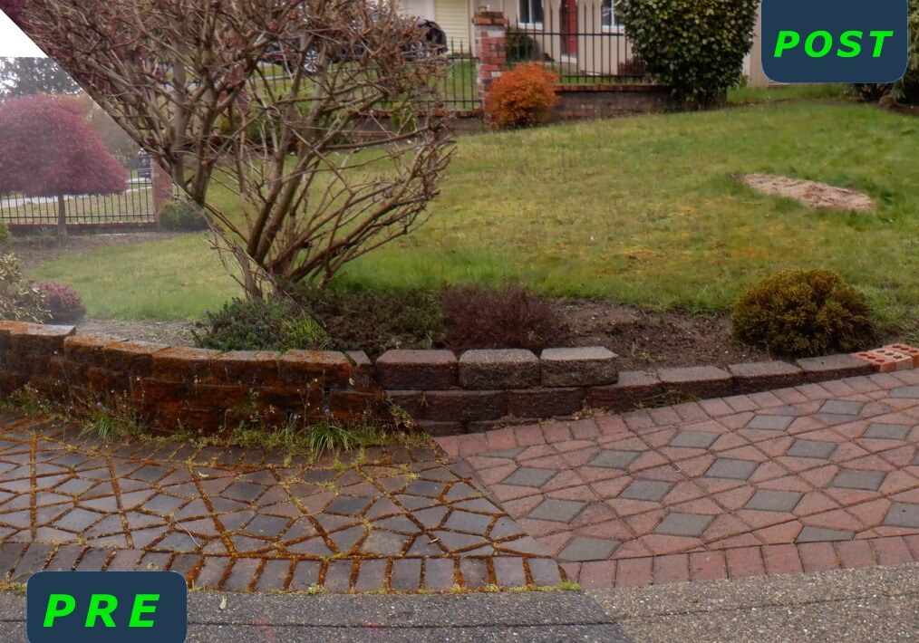 Soft Washed Walkway Paving Stones